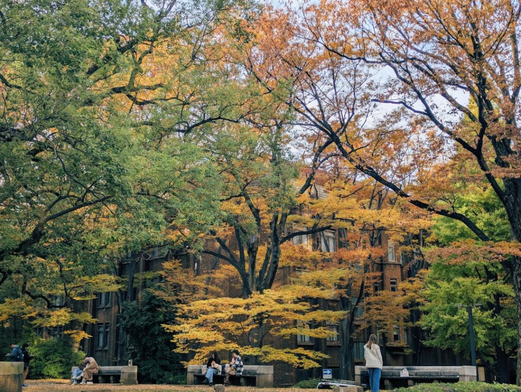 Photo educational institution