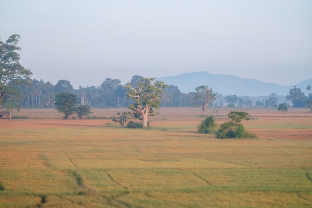 Photo rajshaladarpan