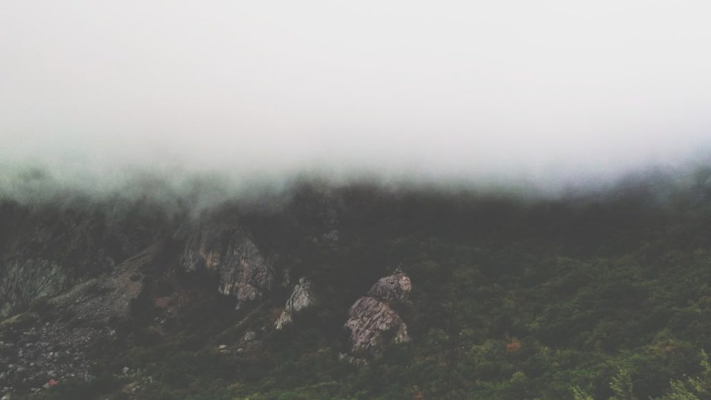 Photo digital marketing course fees