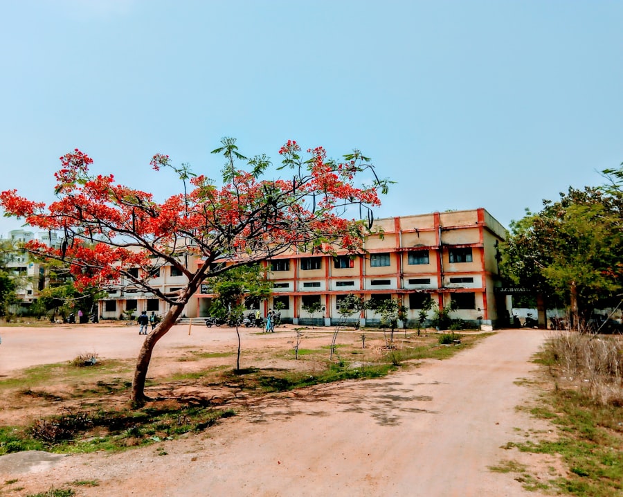 Photo primary schools near me